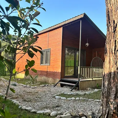 Blackstone Holiday home *